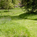 The Next Field